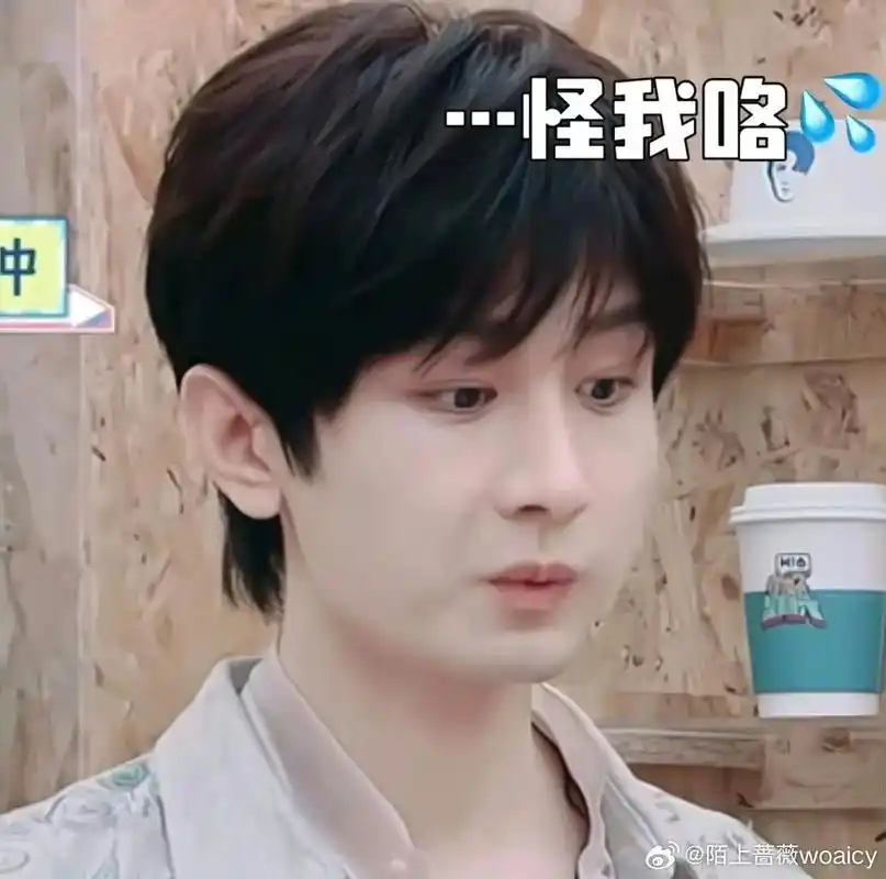 成毅我要对不起你了,没忍住你这表情包实在是太萌了,成毅天选综 - 抖