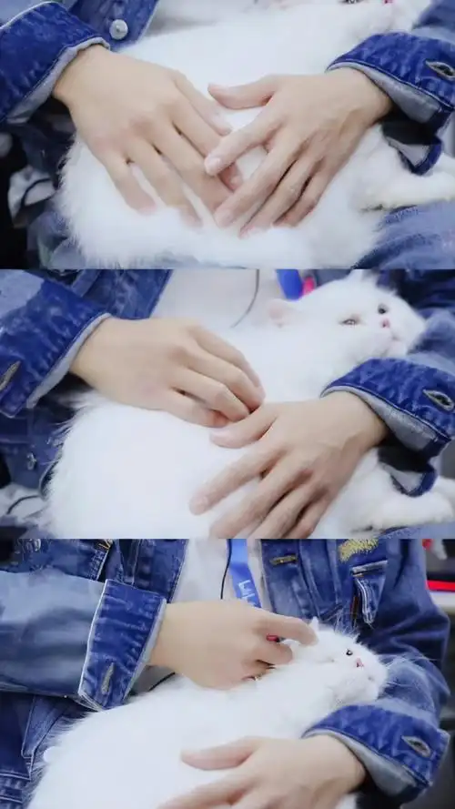 肖战直播##肖战戴手套#镜头给到肖战的手部特写,是谁又梦回了一些