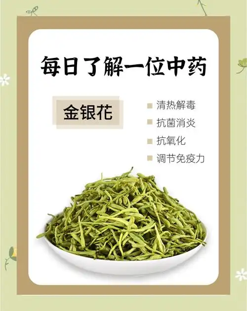 金银花泡水的功效与禁忌,你知道多少?