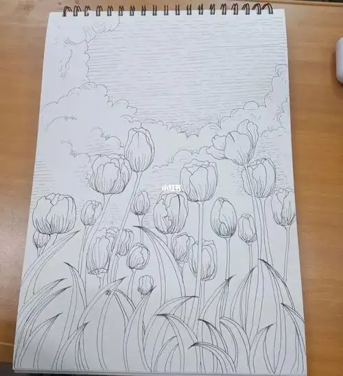 郁金花海简笔画