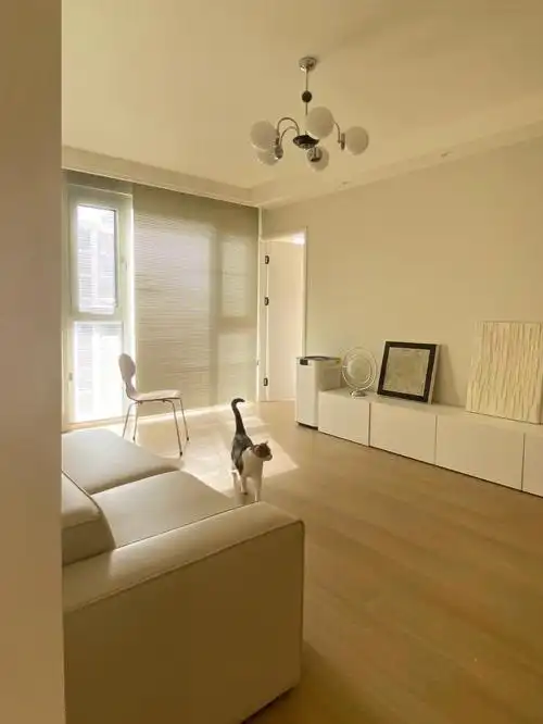 56平米小户型客厅装修奶油色系真的好温柔