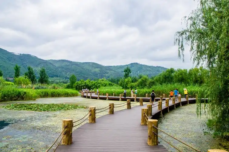 四川西昌-邛海湿地公园_风景_poco摄影