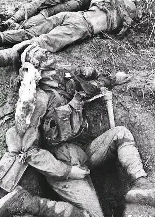 对越自卫反击战一组罕见老照片