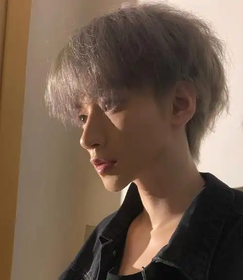 男生发型蓬松碎盖