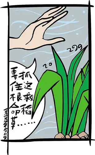 救命稻草上