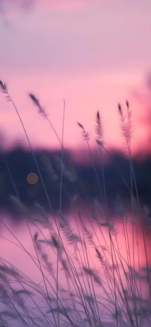 壁纸日子的卷轴越来越长我们的故事慢慢实现