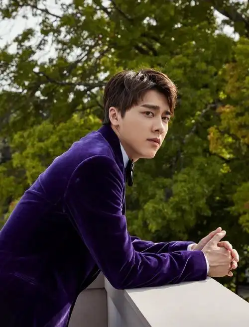 "国内唯一受邀的男艺人李易峰在大秀中亮相,身着一套紫色复古丝绒西装