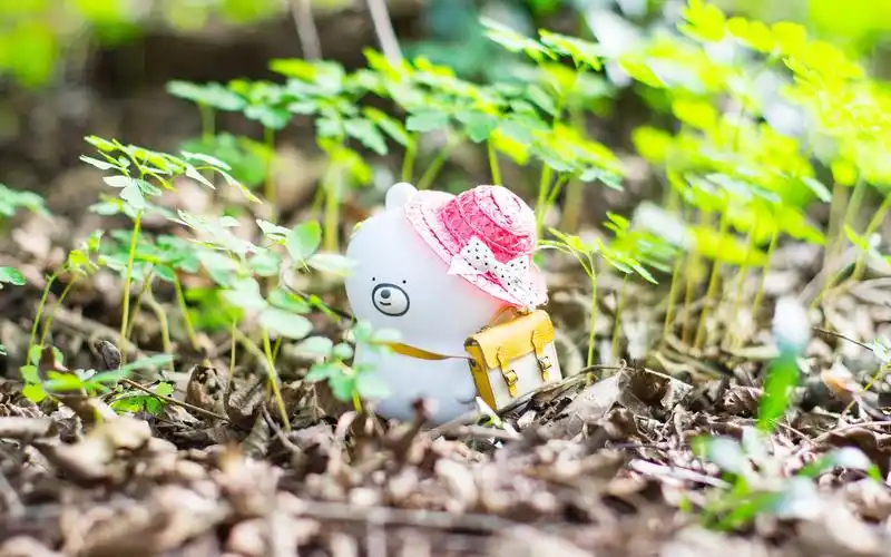 小小冒险家公仔创意小清新高清壁纸