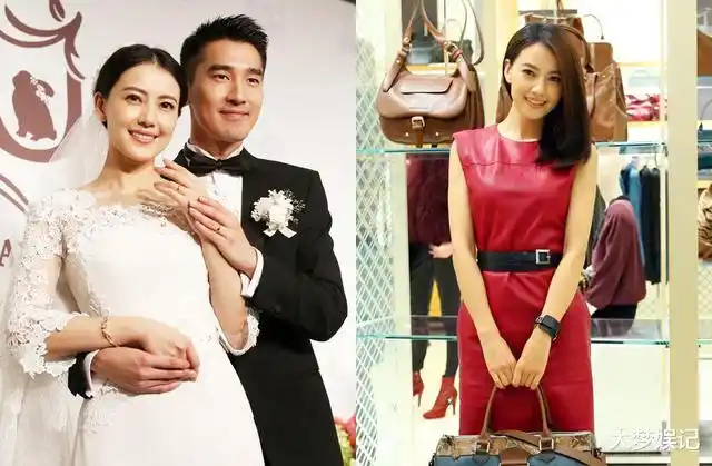 高圆圆纤细身材被拍到发肿 "传怀第二胎"经纪人正式回应