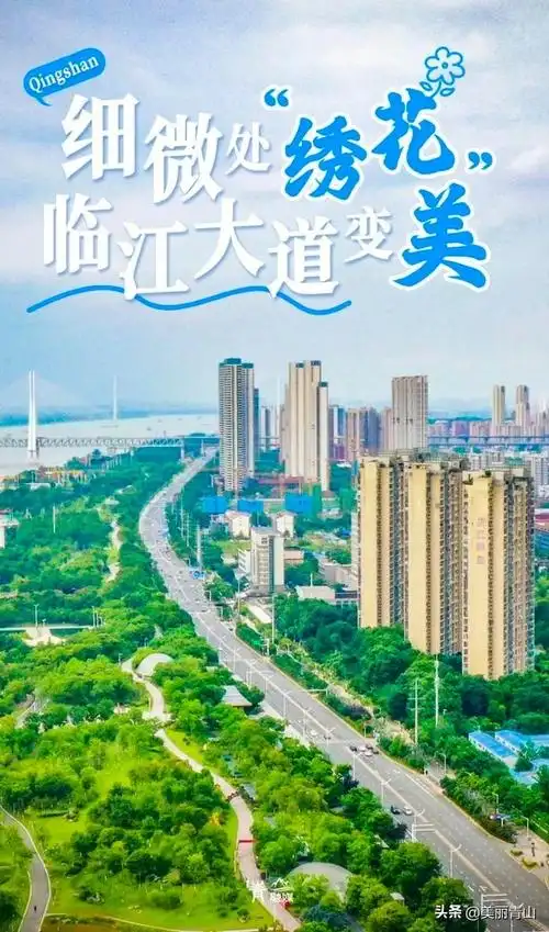 细微"绣花",青山重要大道变样了!