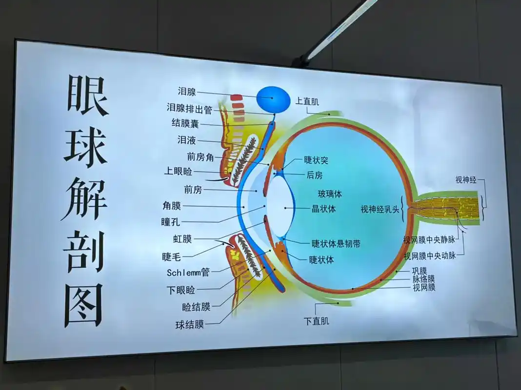 爱护眼睛保护视力 #知识科普 - 抖音