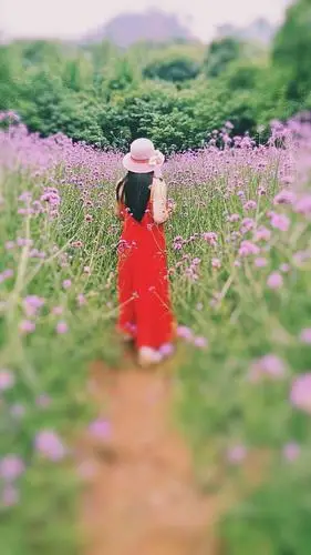 为什么女人喜欢拍背影