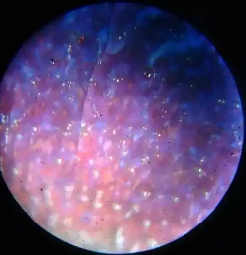 首先是真,器物的真是关键,作为古钧瓷只有是真品才有历史价值;第二是