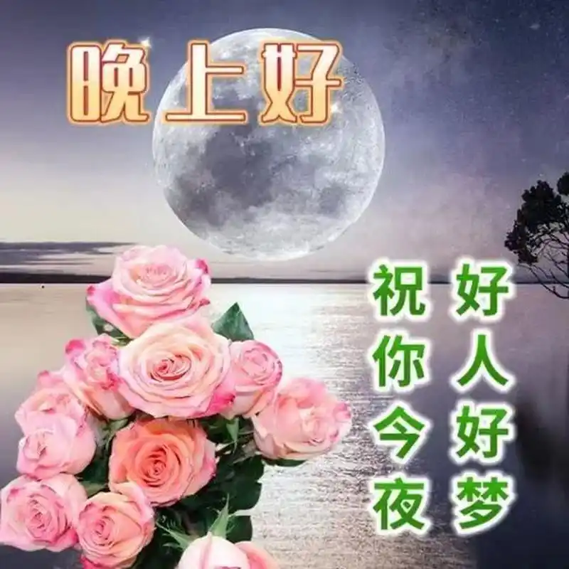 晚上好问候祝福语,愿您好梦 晚上好,在这宁静得夜晚,寄上我温馨得祝福