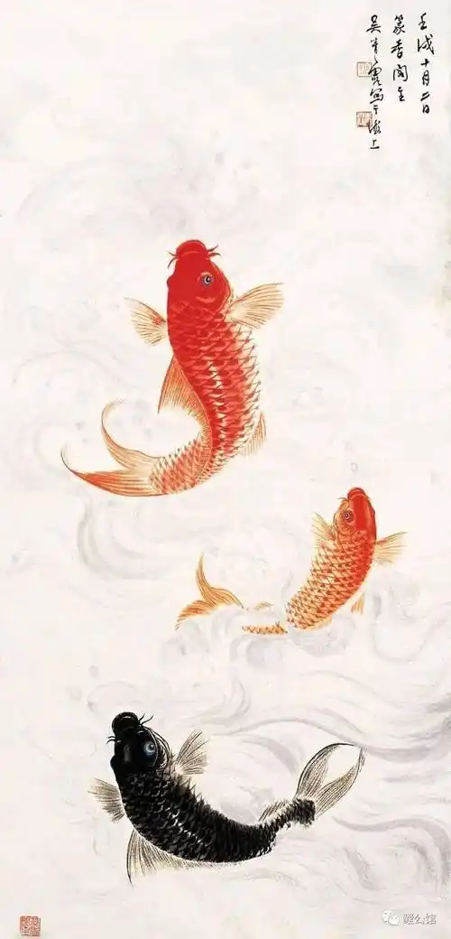 鲤鱼_吴青霞_金榜题名