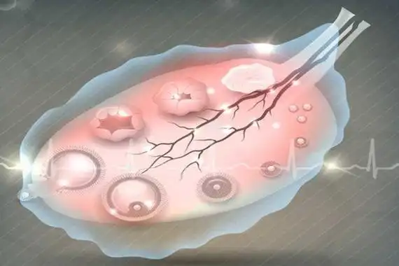 说到优生优育,想必大家都清楚,优质的精子与卵子培育出来的宝宝,才是