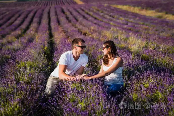 一对爱着薰衣草的情侣.花田里的男孩和女孩.蜜月旅行.蜜月.新婚夫妇.