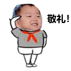 升国旗表情包一套_手机搜狐网