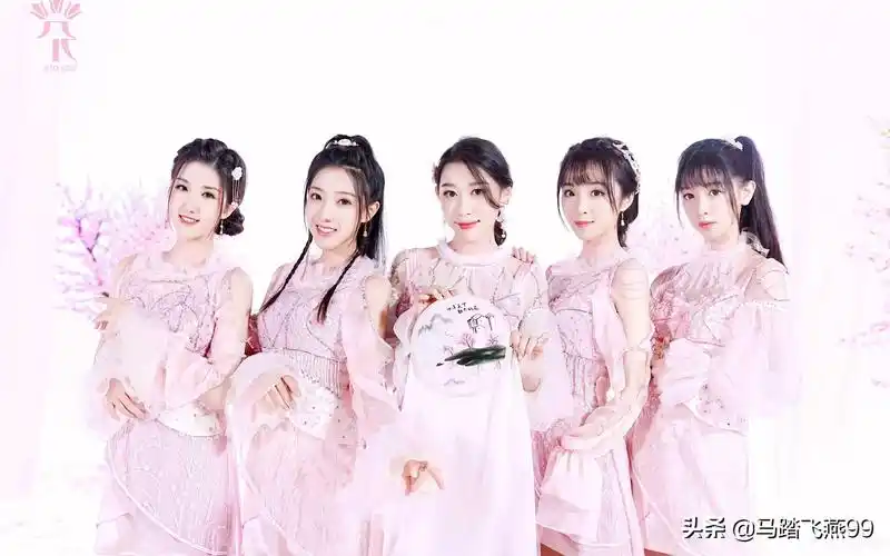 中国女团有哪些(国内娱乐圈里的女子组合有哪些)_四五百科