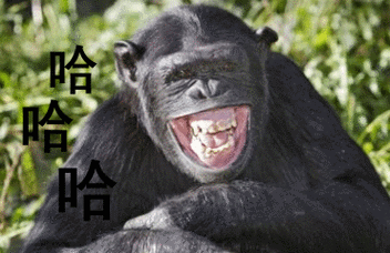 别减肥了,人类就是会越来越月半!