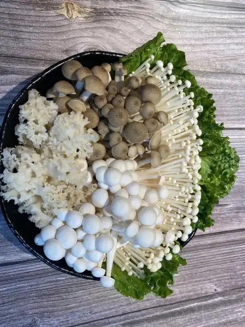 川锅一号菜品摆盘