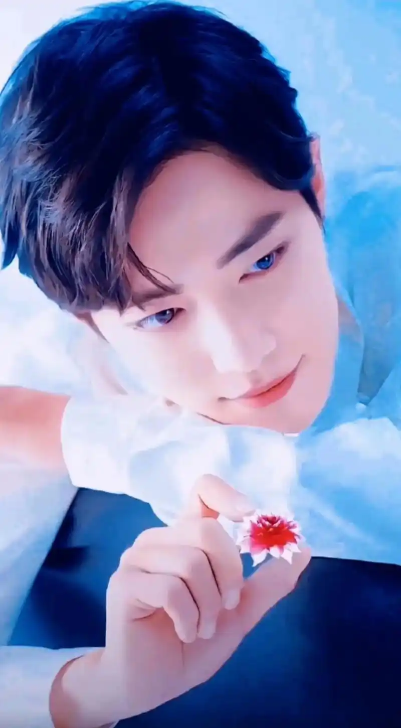 肖战 - 有钱呆萌兔 - 抖音