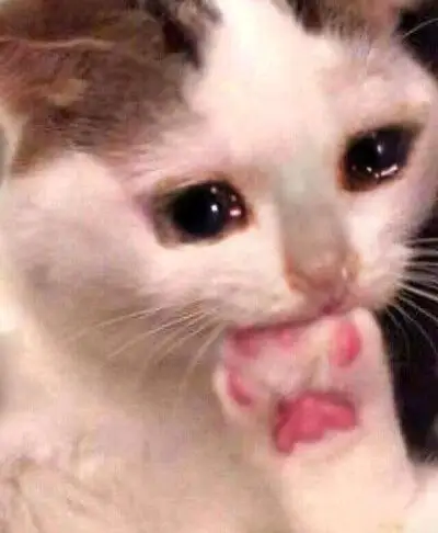 分享一组图～自己p的流泪猫猫脸搜索用:流泪猫猫头/哭泣猫猫/crying