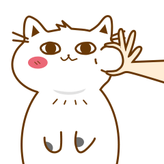 舔舔猫 微信表情包设计