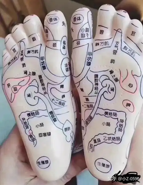 寒从脚下起病从脚底除教你如何轻松除