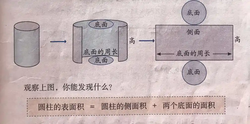 圆柱的表面积=圆柱的侧面积 两个底面的面积