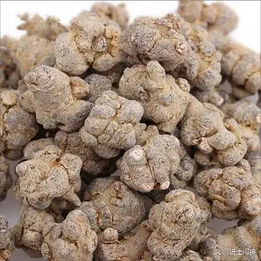 三七是一种珍贵的多年生草本植物,属于五加科人参属.