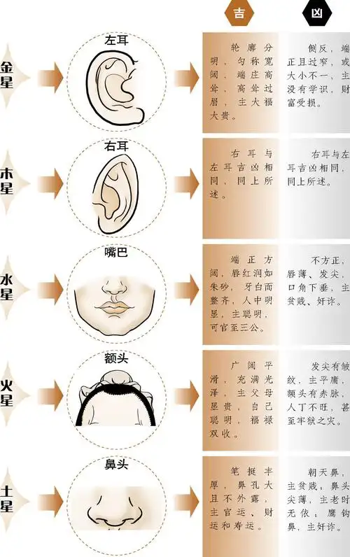 如果耳朵的命门部位能容下一个小手指的话,说明这个人一定很聪明
