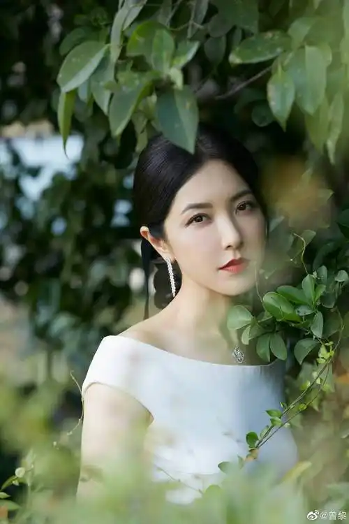 星汉灿烂热度飙升曾黎实现全网涨粉200w