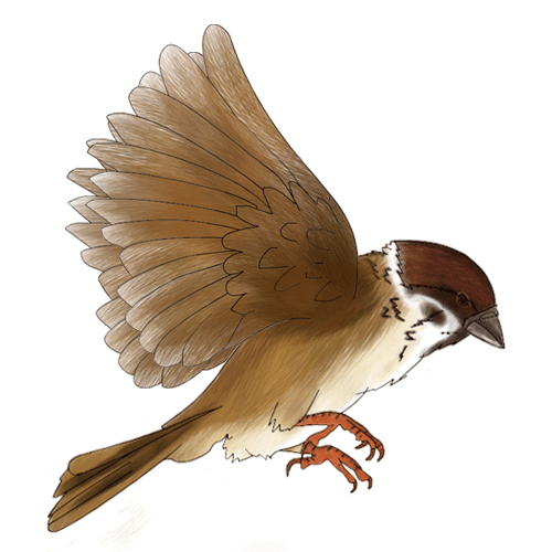 500_500gif 动态图 动图