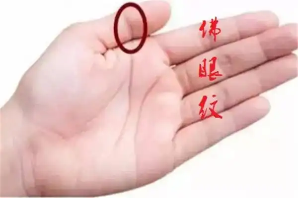 真正的凤眼纹有几种构成凤眼纹需具备三个条件