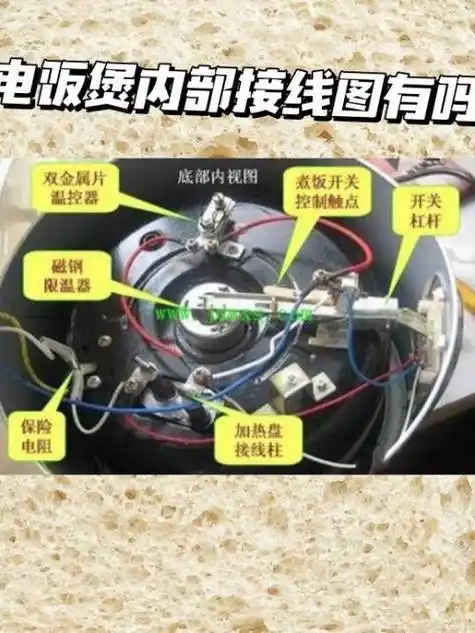 快慢档接线图电热锅接线图解电锅4个开关接线图小厨宝内部电路接线图