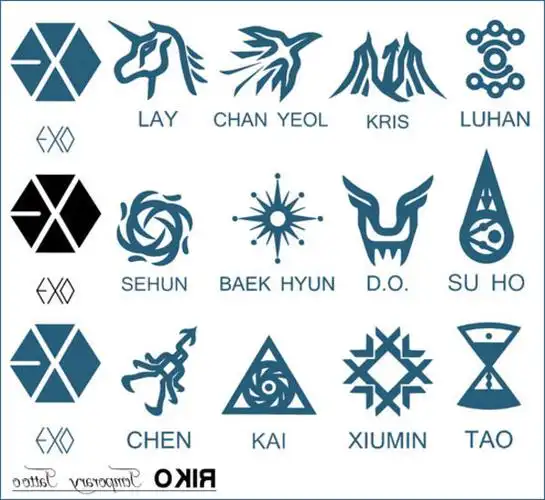 求exo标志的图片,单独的,十二个人的都要,像这样的