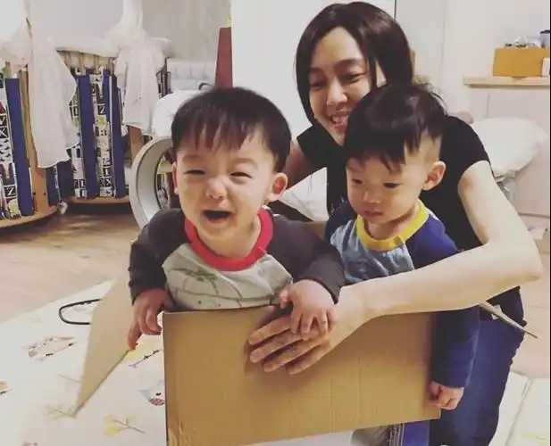 范玮琪双胞胎儿子站纸箱中玩耍 开心大笑(图)