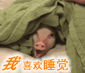 喜欢你——表白的搞笑动图文字表情包