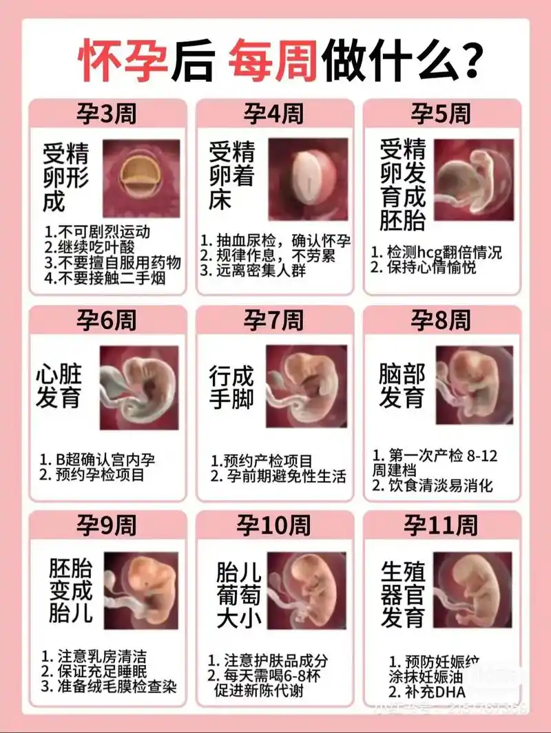 怀孕1～40周1张表全部讲清楚.麻麻们快收藏起来,怀孕后给看 - 抖音