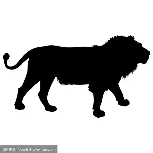 白色背景上的狮子剪影