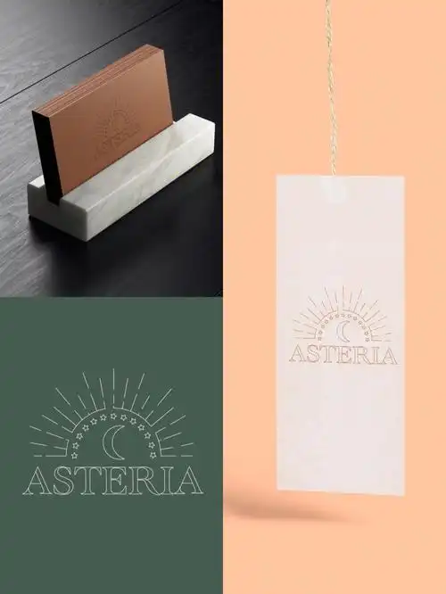 品牌设计练习vol1asteria