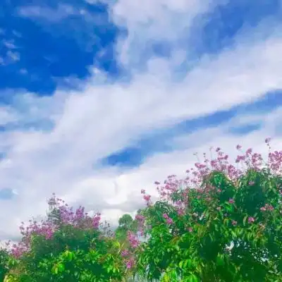 大自然头像图片大全唯美清新温柔治愈系风景图片头像高清