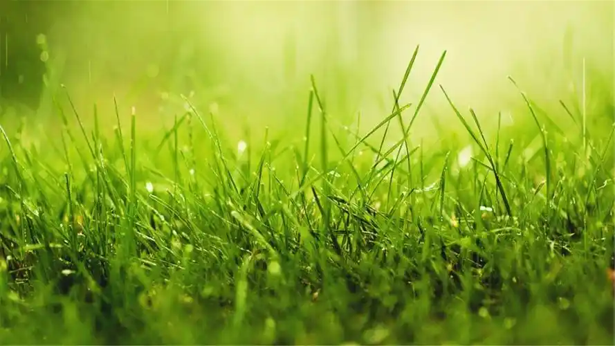 好看的桌面壁纸_电脑桌面壁纸软件-上犹电脑信息网