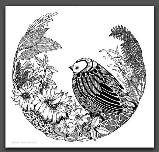 素材分享|用点线面表现强烈的装饰感,这些黑白线描画真美!