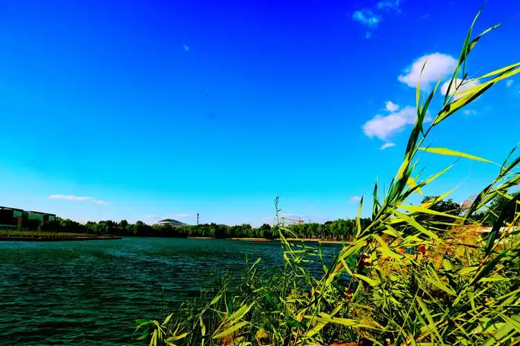 蓝天白云下的廊坊