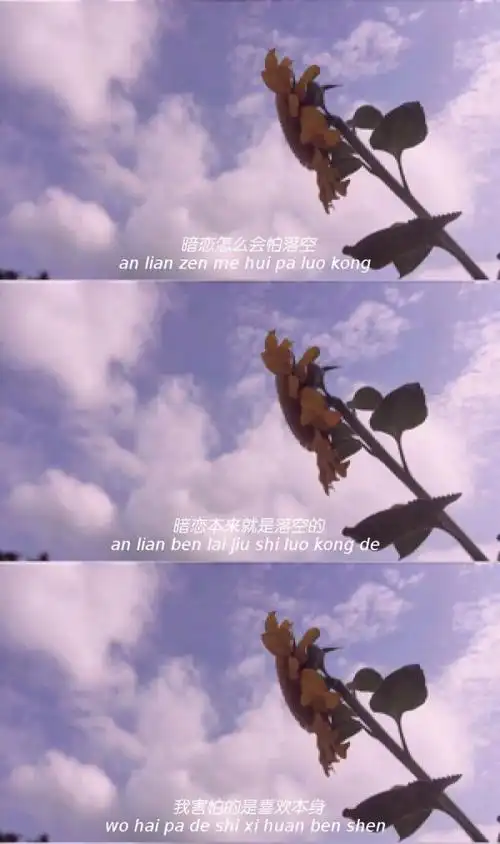 三格- 堆糖,美图壁纸兴趣社区