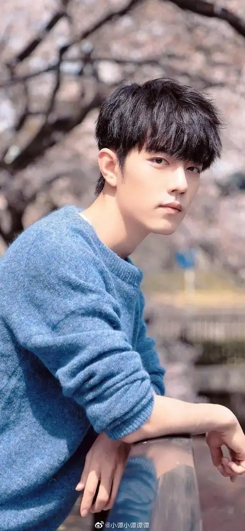 肖战–日系樱花照 - 高清图片,堆糖,美图壁纸兴趣社区