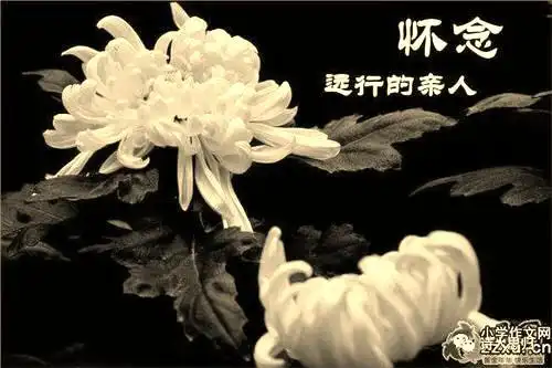 表达对高三怀念的句子大一怀念高三的句子