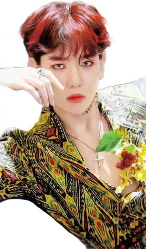 边伯贤立绘自扣 禁一切使用注明来源:江梵